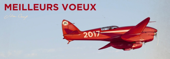 voeux2017